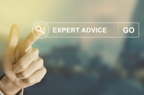 expert advice typed in web search bar